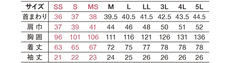 サイズ表